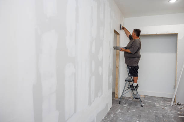 Best Eco-Friendly and Low-VOC Painting  in Franklin Park, IL